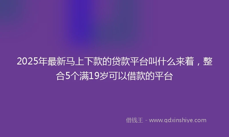 2025年最新马上下款的贷款平台叫什么来着，整合5个满19岁可以借款的平台