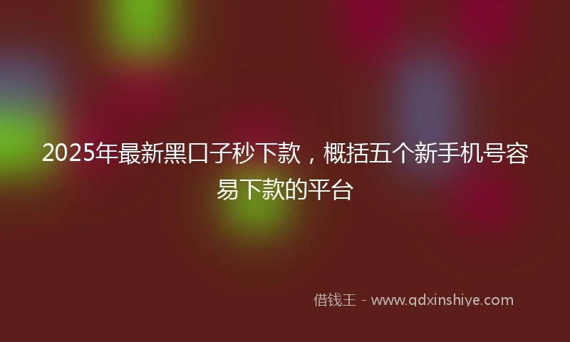 2025年最新黑口子秒下款，概括五个新手机号容易下款的平台