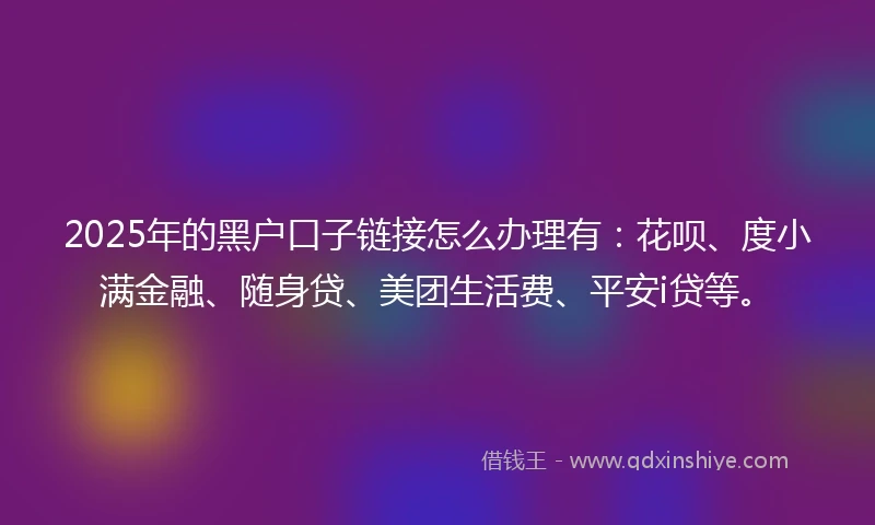 2025年的黑户口子链接怎么办理有：花呗、度小满金融、随身贷、美团生活费、平安i贷等。