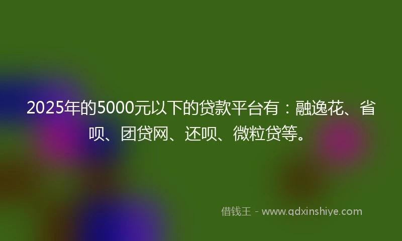 2025年的5000元以下的贷款平台有：融逸花、省呗、团贷网、还呗、微粒贷等。