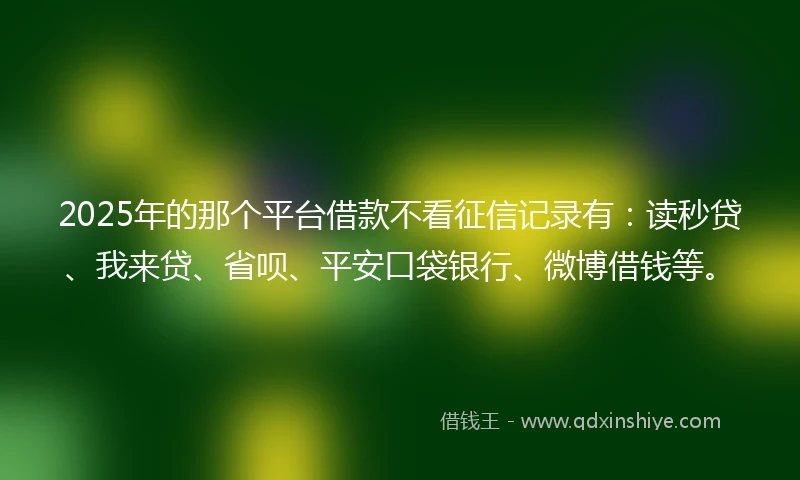 2025年的那个平台借款不看征信记录有：读秒贷、我来贷、省呗、平安口袋银行、微博借钱等。