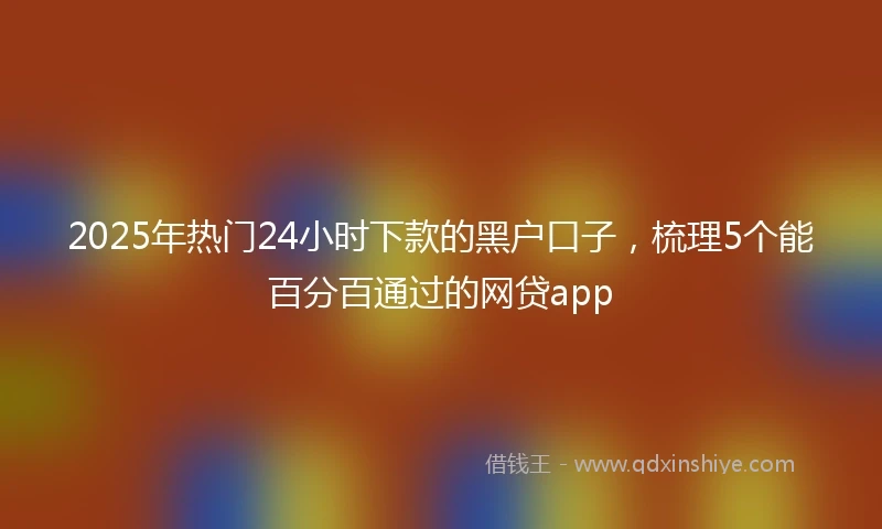 2025年热门24小时下款的黑户口子,梳理5个能百分百通过的网贷app