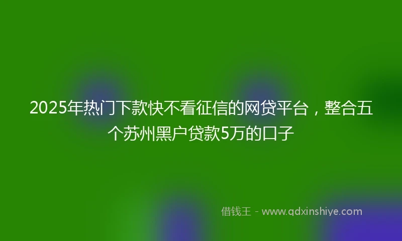 2025年热门下款快不看征信的网贷平台，整合五个苏州黑户贷款5万的口子
