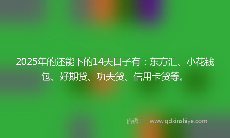 2025年的还能下的14天口子有：东方汇、小花钱包、好期贷、功夫贷、信用卡贷等。