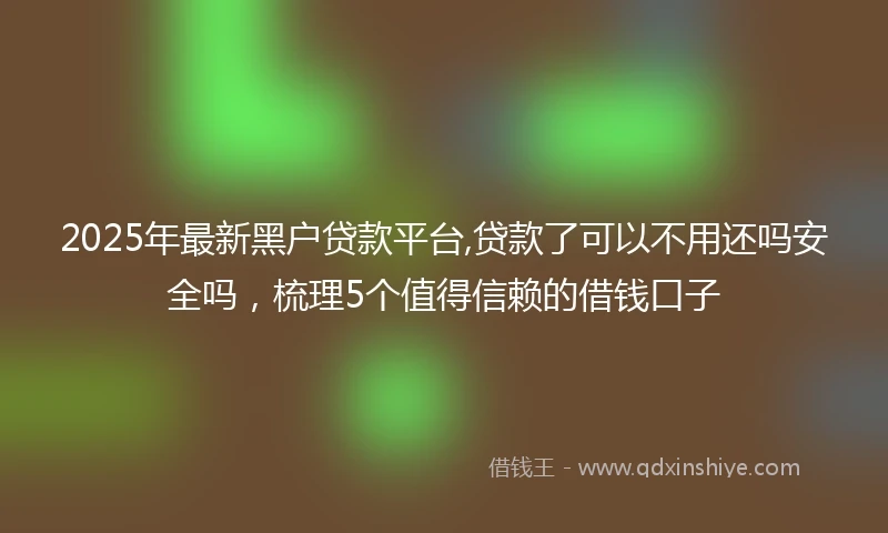 2025年最新黑户贷款平台,贷款了可以不用还吗安全吗，梳理5个值得信赖的借钱口子