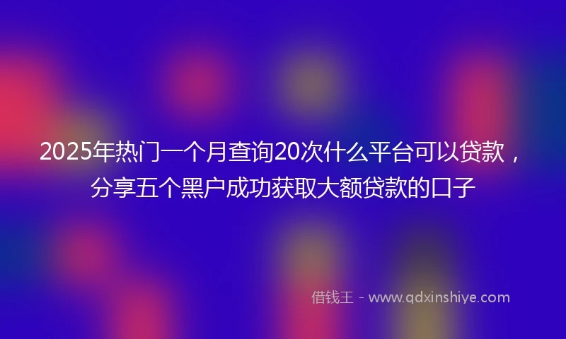 2025年热门一个月查询20次什么平台可以贷款，分享五个黑户成功获取大额贷款的口子