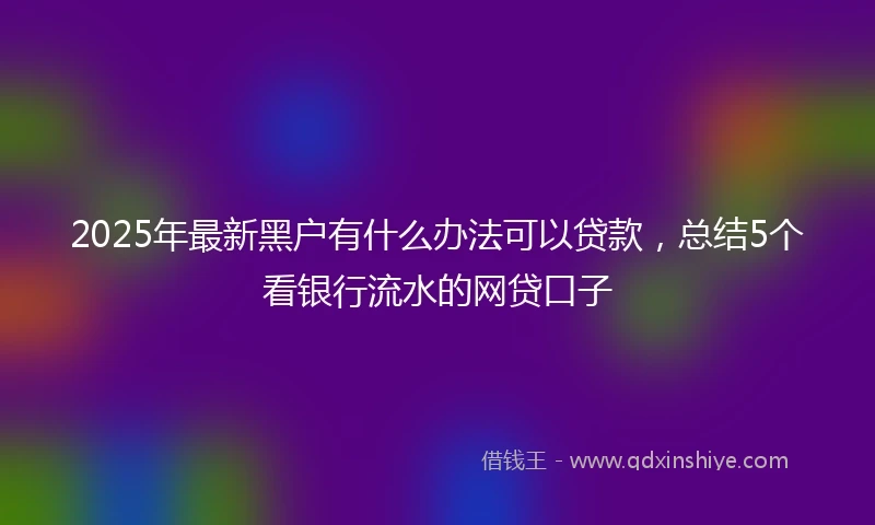 2025年最新黑户有什么办法可以贷款,总结5个看银行流水的网贷口子