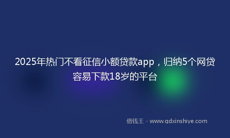 2025年热门不看征信小额贷款app，归纳5个网贷容易下款18岁的平台