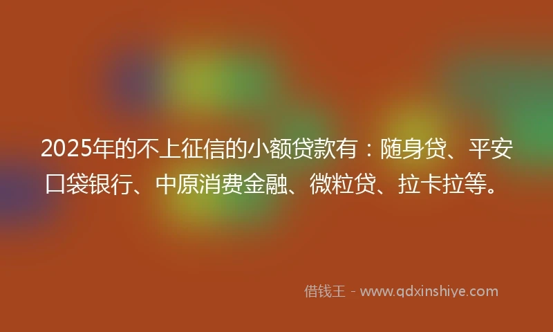 2025年的不上征信的小额贷款有：随身贷、平安口袋银行、中原消费金融、微粒贷、拉卡拉等。
