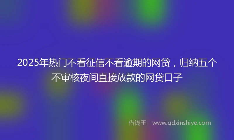 2025年热门不看征信不看逾期的网贷，归纳五个不审核夜间直接放款的网贷口子