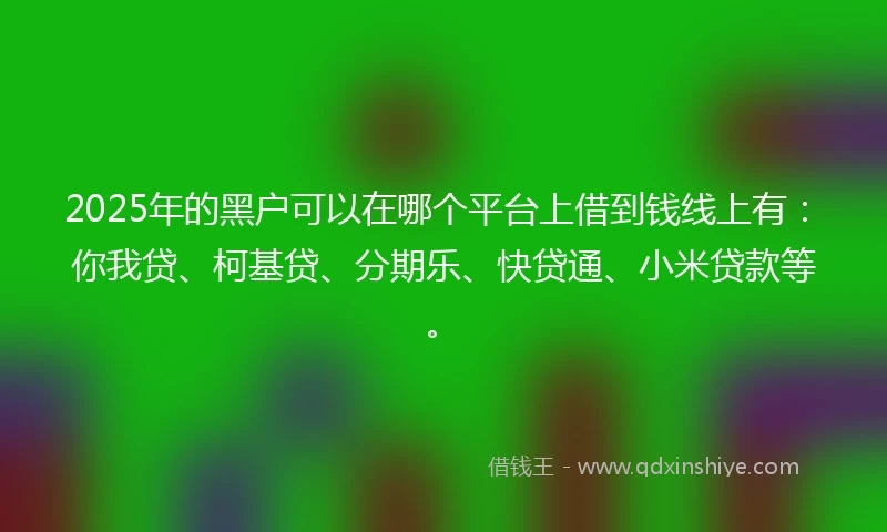 2025年的黑户可以在哪个平台上借到钱线上有：你我贷、柯基贷、分期乐、快贷通、小米贷款等。