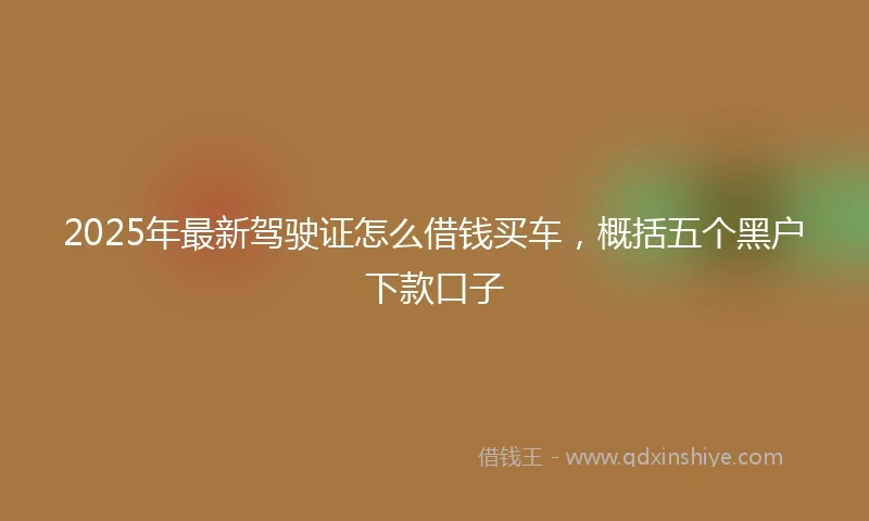2025年最新驾驶证怎么借钱买车，概括五个黑户下款口子