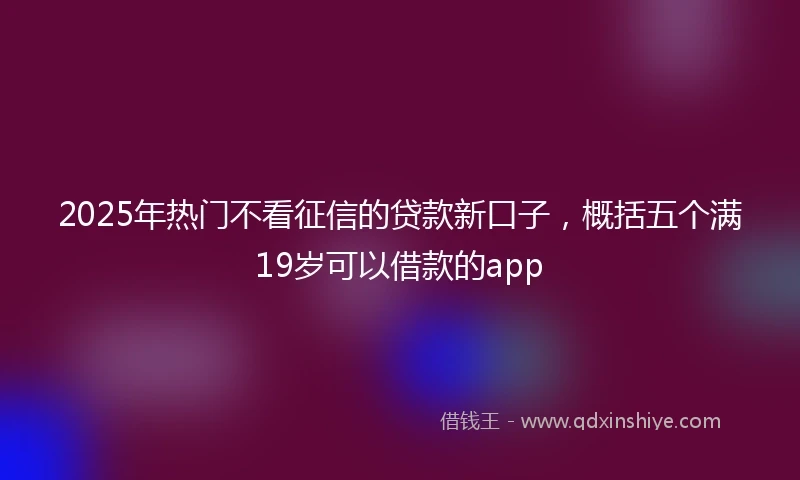 2025年热门不看征信的贷款新口子，概括五个满19岁可以借款的app