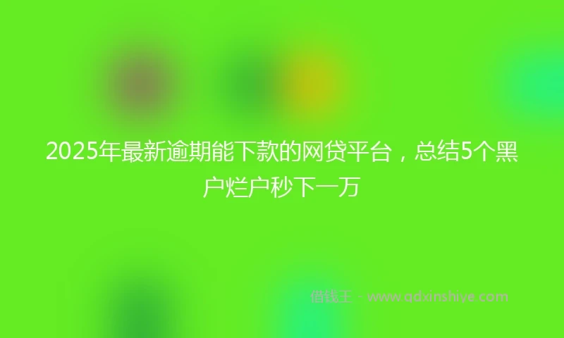 2025年最新逾期能下款的网贷平台，总结5个黑户烂户秒下一万