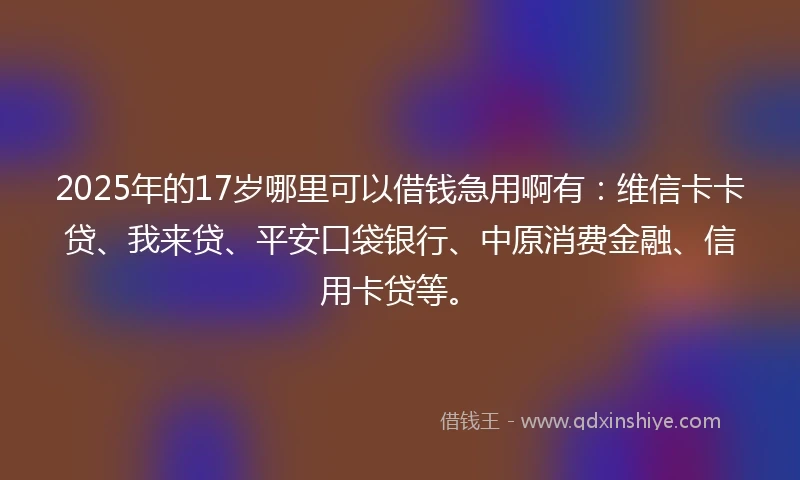 2025年的17岁哪里可以借钱急用啊有：维信卡卡贷、我来贷、平安口袋银行、中原消费金融、信用卡贷等。