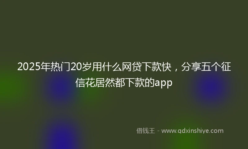 2025年热门20岁用什么网贷下款快，分享五个征信花居然都下款的app