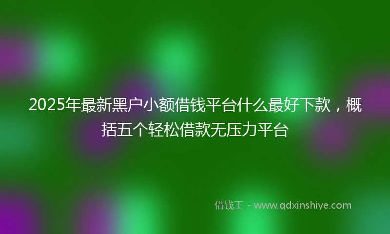 2025年最新黑户小额借钱平台什么最好下款,概括五个轻松借款无压力平台