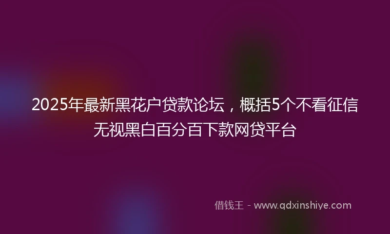 2025年最新黑花户贷款论坛，概括5个不看征信无视黑白百分百下款网贷平台