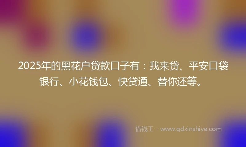 2025年的黑花户贷款口子有：我来贷、平安口袋银行、小花钱包、快贷通、替你还等。