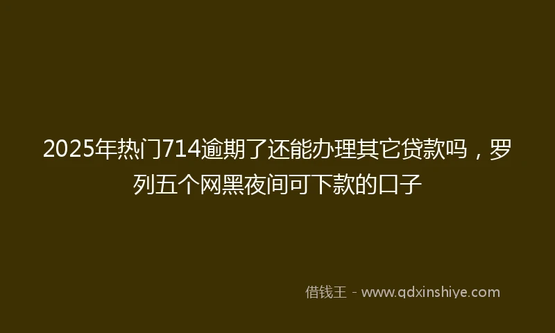 2025年热门714逾期了还能办理其它贷款吗，罗列五个网黑夜间可下款的口子