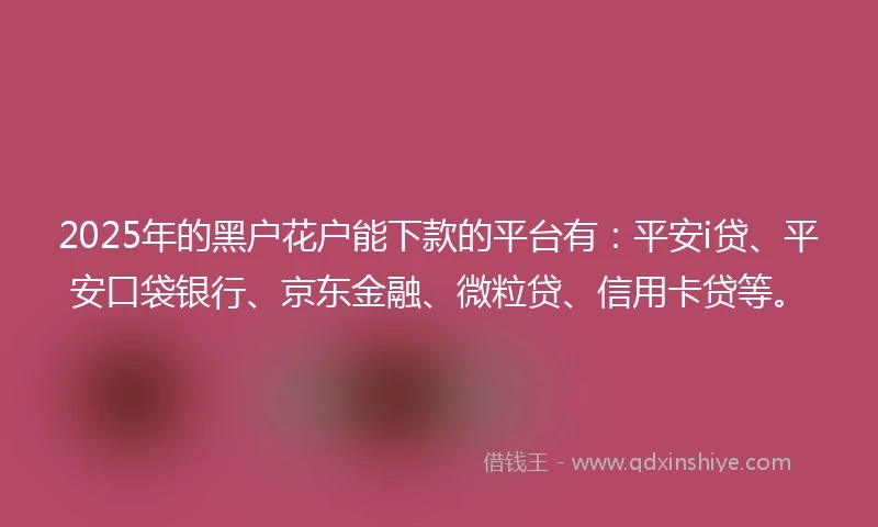 2025年的黑户花户能下款的平台有：平安i贷、平安口袋银行、京东金融、微粒贷、信用卡贷等。