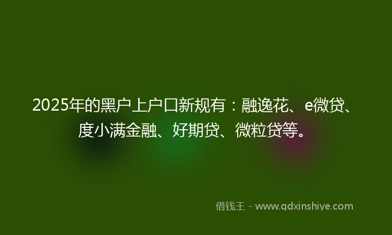 2025年的黑户上户口新规有：融逸花、e微贷、度小满金融、好期贷、微粒贷等。