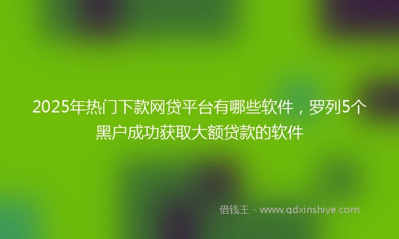 2025年热门下款网贷平台有哪些软件，罗列5个黑户成功获取大额贷款的软件