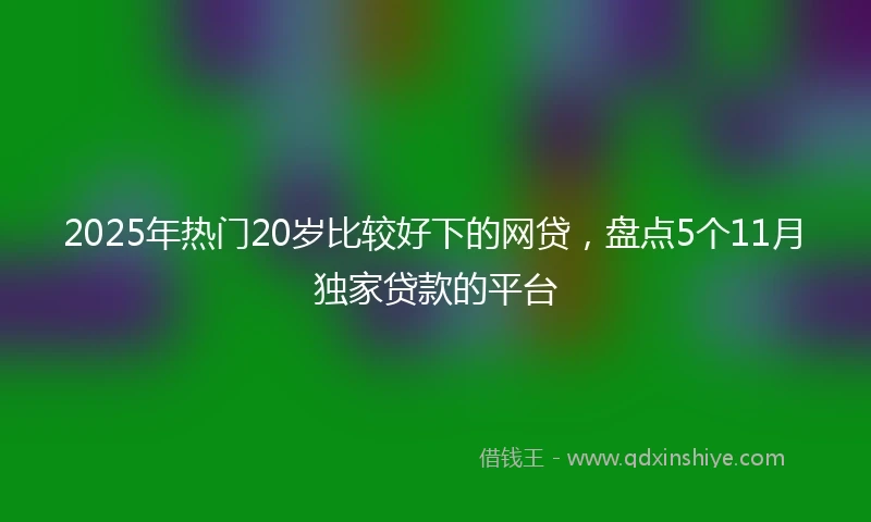 2025年热门20岁比较好下的网贷，盘点5个11月独家贷款的平台