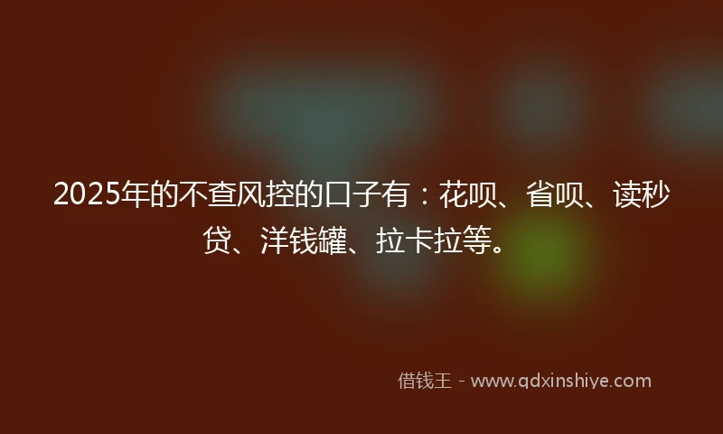 2025年的不查风控的口子有：花呗、省呗、读秒贷、洋钱罐、拉卡拉等。