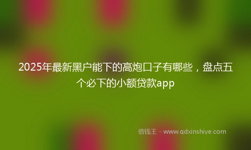 2025年最新黑户能下的高炮口子有哪些，盘点五个必下的小额贷款app