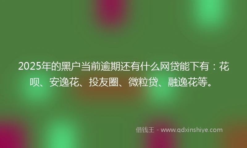 2025年的黑户当前逾期还有什么网贷能下有：花呗、安逸花、投友圈、微粒贷、融逸花等。