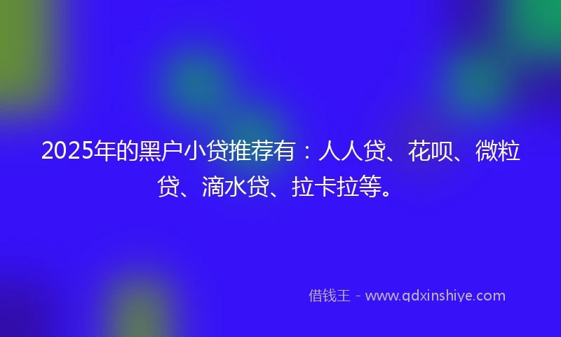 2025年的黑户小贷推荐有:人人贷、花呗、微粒贷、滴水贷、拉卡拉等。