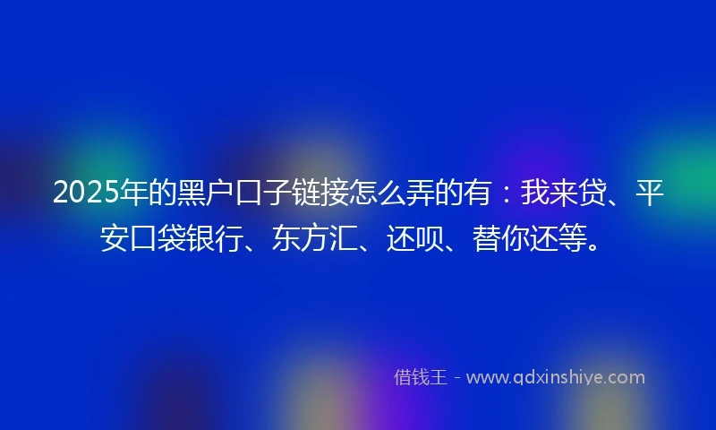 2025年的黑户口子链接怎么弄的有：我来贷、平安口袋银行、东方汇、还呗、替你还等。