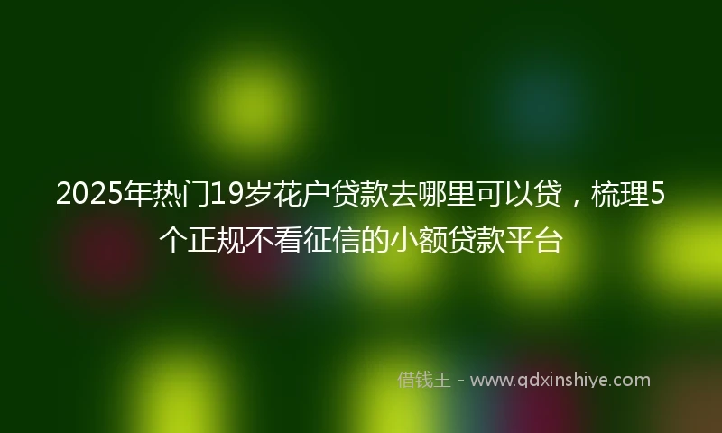 2025年热门19岁花户贷款去哪里可以贷,梳理5个正规不看征信的小额贷款平台