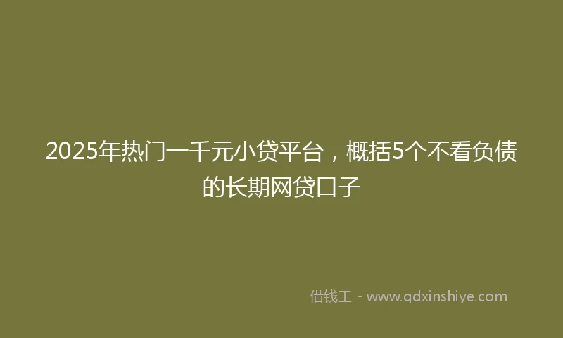 2025年热门一千元小贷平台，概括5个不看负债的长期网贷口子