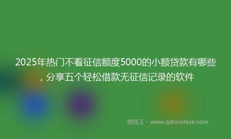 2025年热门不看征信额度5000的小额贷款有哪些，分享五个轻松借款无征信记录的软件