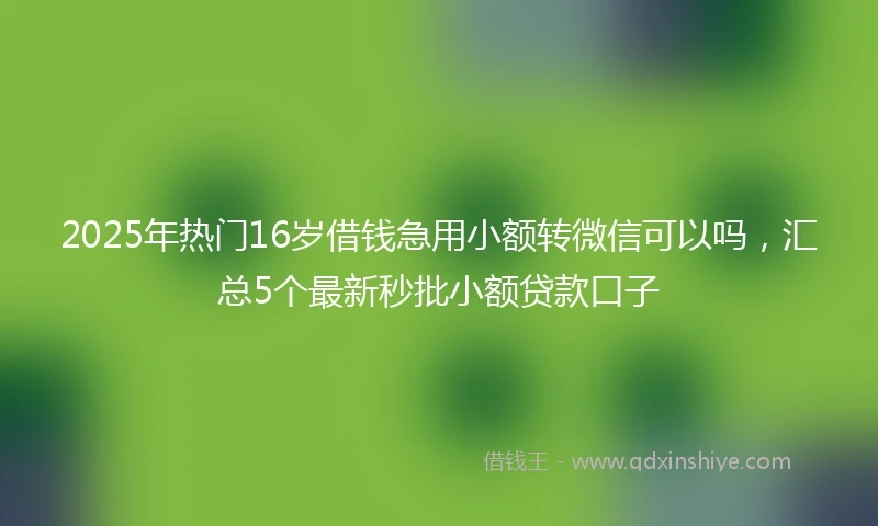 2025年热门16岁借钱急用小额转微信可以吗，汇总5个最新秒批小额贷款口子