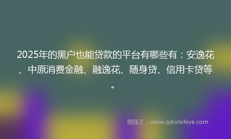 2025年的黑户也能贷款的平台有哪些有:安逸花、中原消费金融、融逸花、随身贷、信用卡贷等。