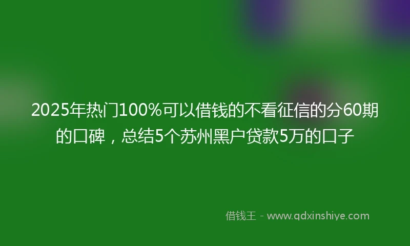 2025年热门100%可以借钱的不看征信的分60期的口碑，总结5个苏州黑户贷款5万的口子
