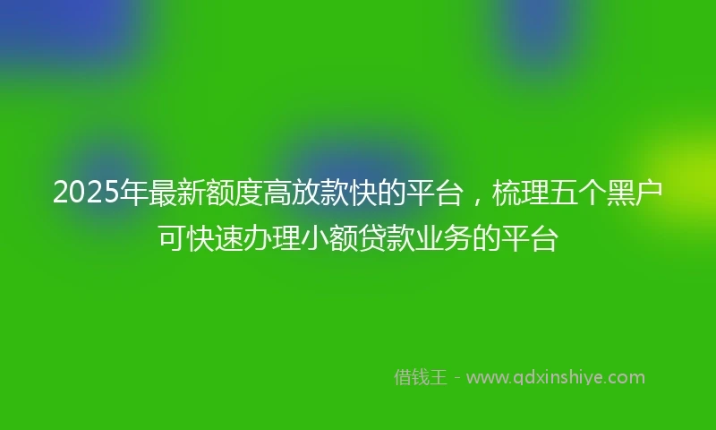 2025年最新额度高放款快的平台，梳理五个黑户可快速办理小额贷款业务的平台