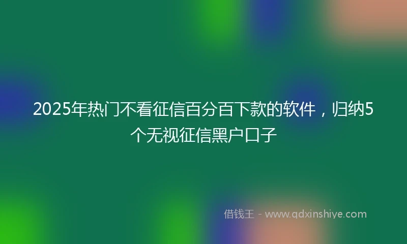 2025年热门不看征信百分百下款的软件,归纳5个无视征信黑户口子
