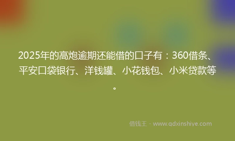 2025年的高炮逾期还能借的口子有：360借条、平安口袋银行、洋钱罐、小花钱包、小米贷款等。