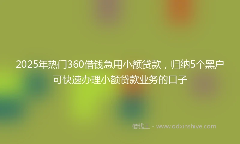 2025年热门360借钱急用小额贷款，归纳5个黑户可快速办理小额贷款业务的口子