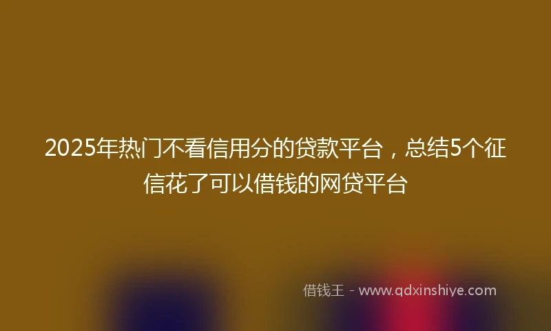 2025年热门不看信用分的贷款平台，总结5个征信花了可以借钱的网贷平台