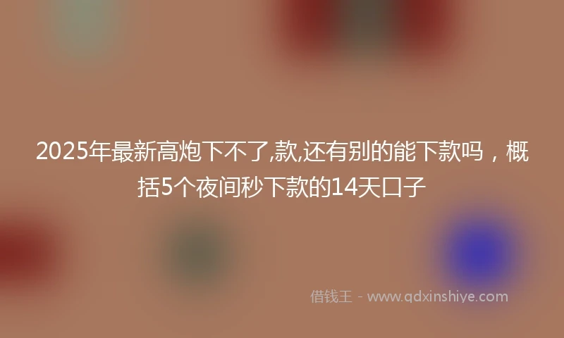 2025年最新高炮下不了,款,还有别的能下款吗，概括5个夜间秒下款的14天口子