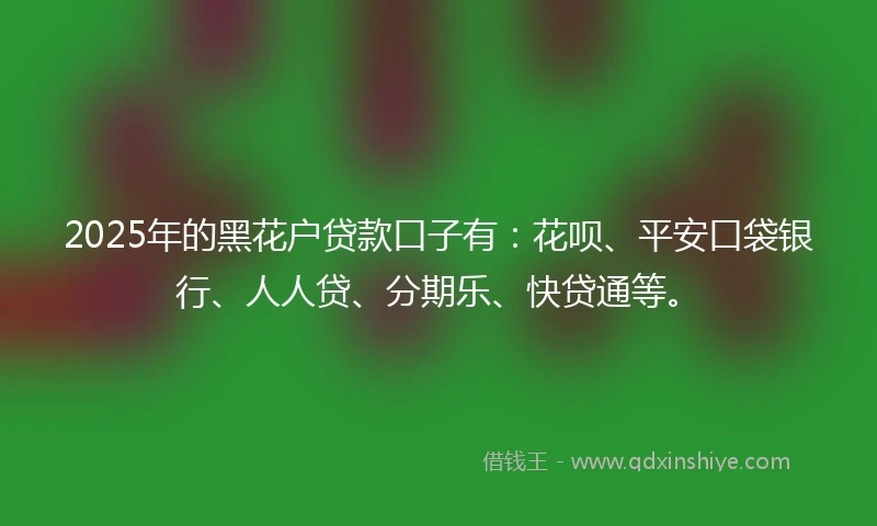 2025年的黑花户贷款口子有：花呗、平安口袋银行、人人贷、分期乐、快贷通等。