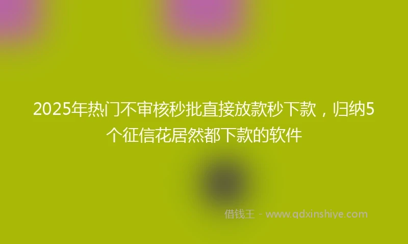 2025年热门不审核秒批直接放款秒下款，归纳5个征信花居然都下款的软件