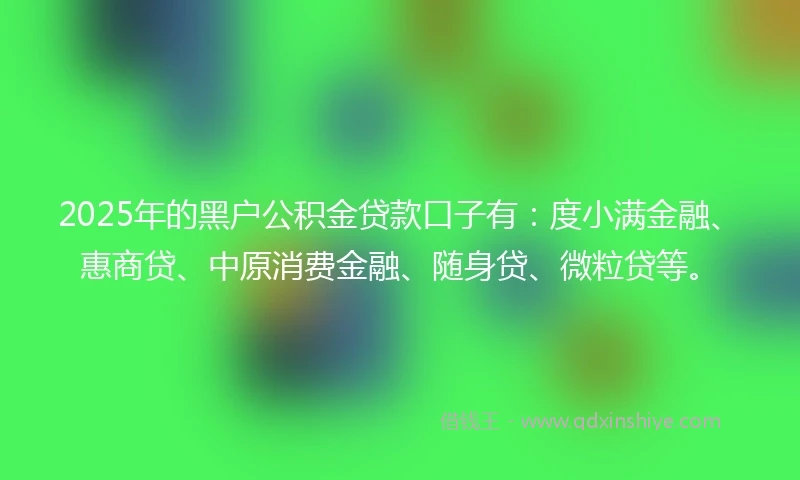 2025年的黑户公积金贷款口子有：度小满金融、惠商贷、中原消费金融、随身贷、微粒贷等。