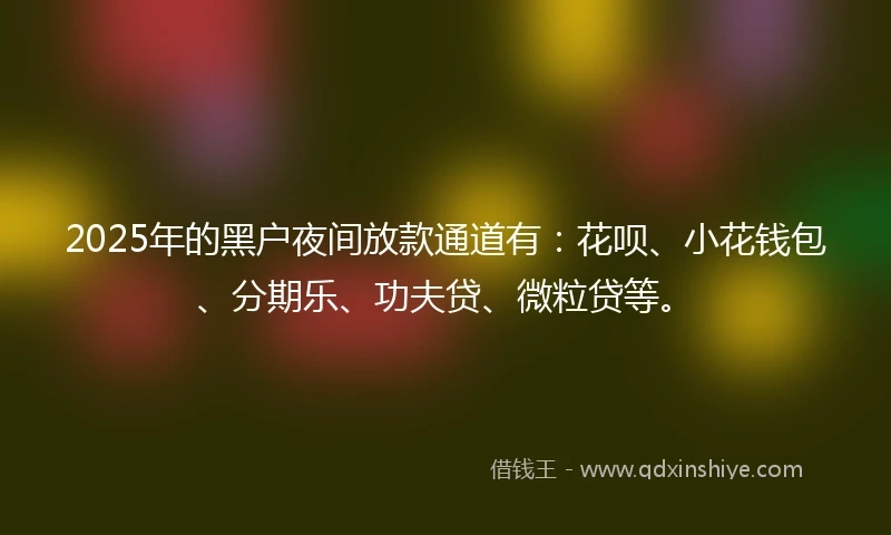 2025年的黑户夜间放款通道有:花呗、小花钱包、分期乐、功夫贷、微粒贷等。