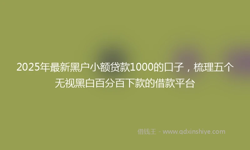 2025年最新黑户小额贷款1000的口子，梳理五个无视黑白百分百下款的借款平台